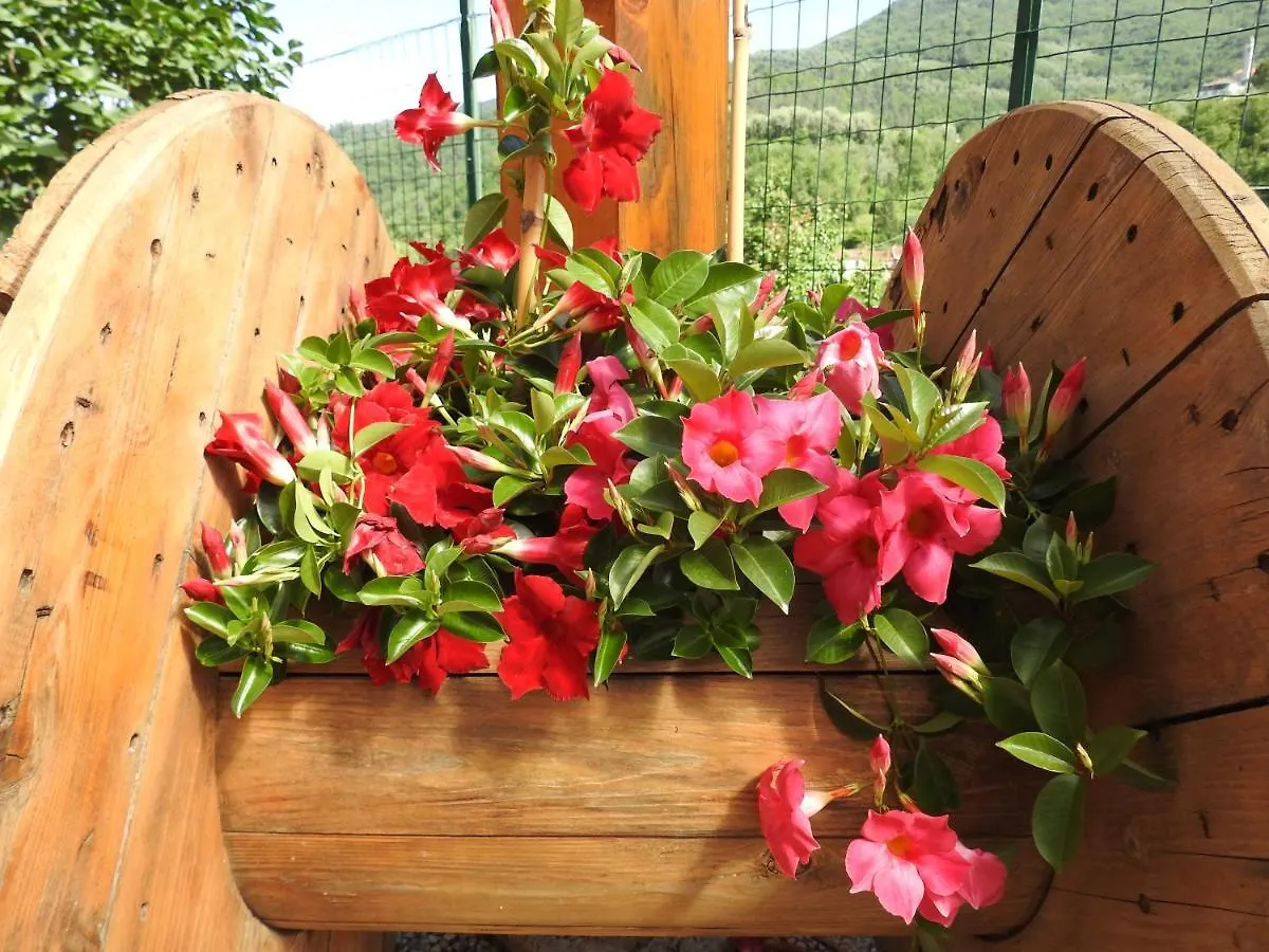 L'Iris Bed & Breakfast Stellanello